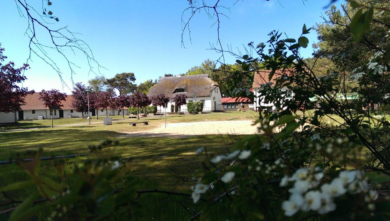 Jugendtours-Feriendorf Ummanz Exterior foto